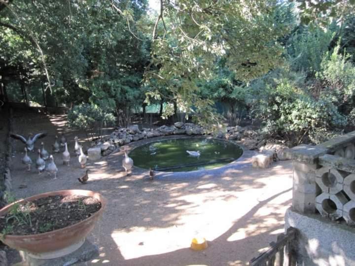 Parco Delle Streghe Villa Scarlino Luaran gambar