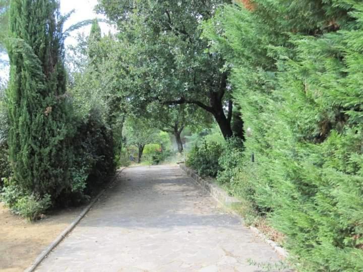 Parco Delle Streghe Villa Scarlino Luaran gambar