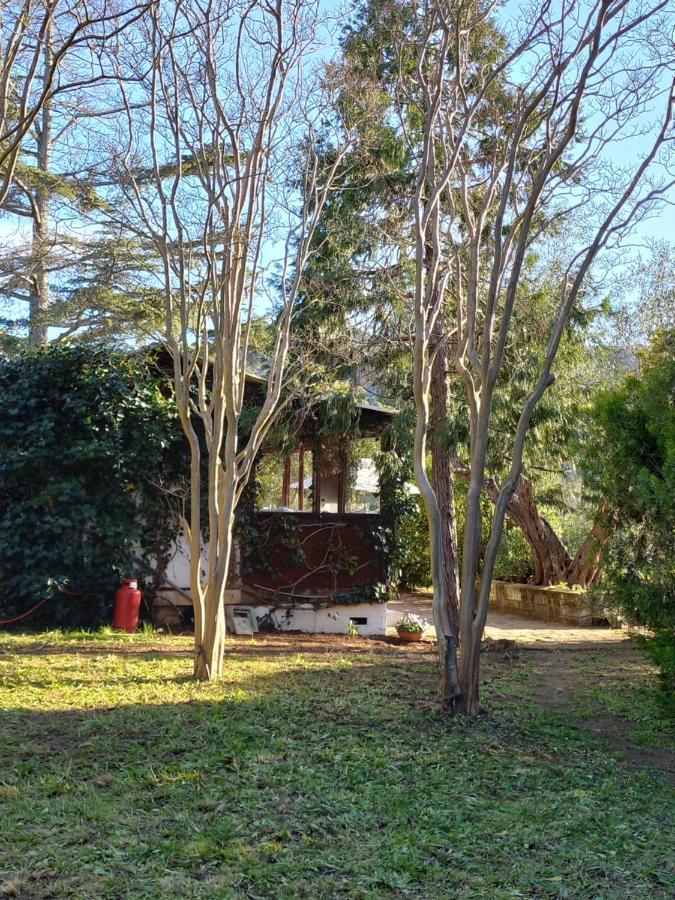 Parco Delle Streghe Villa Scarlino Luaran gambar